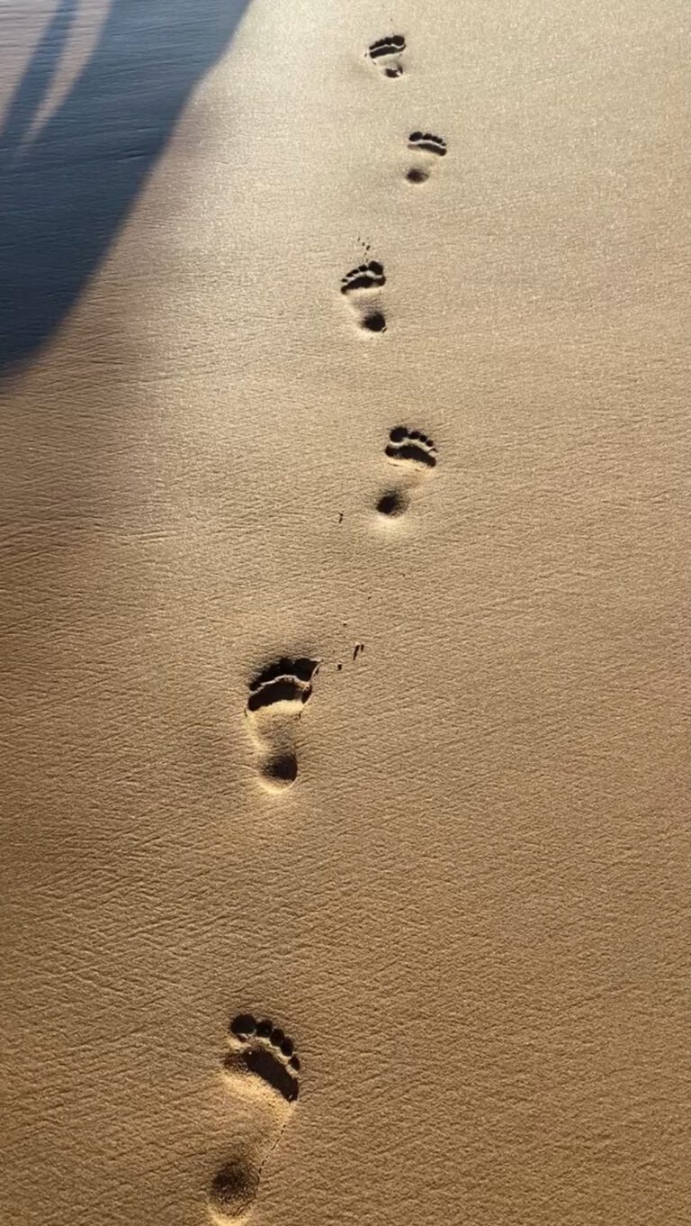 Fußspuren im Sand am Meer. Sinnsuche. Sinn des Lebens finden.